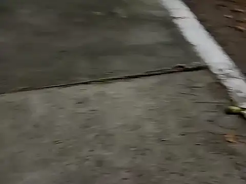 Snapshot of roludao_fun chatting on December 2025 10:07:02 PM roludao fun online show from December 2025 10:07:02 PM