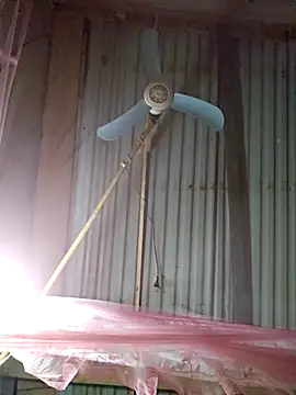 Squirrel-Pear online show from December 2025 12:25:01 PM