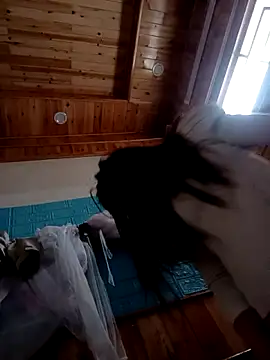 Snapshot of kokoto-59 chatting on February 2026 01:09:01 AM kokoto-59 online show from February 2026 01:09:01 AM