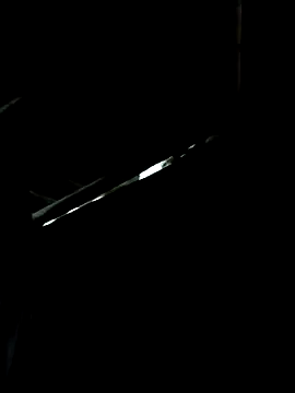 Snapshot of kokoto-59 chatting on February 2026 11:43:01 PM kokoto-59 online show from February 2026 11:43:01 PM