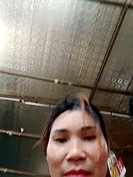 Bear bear0 online show from October 2025 12:41:02 AM