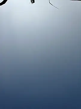 Menu x online show from January 2026 08:08:01 AM