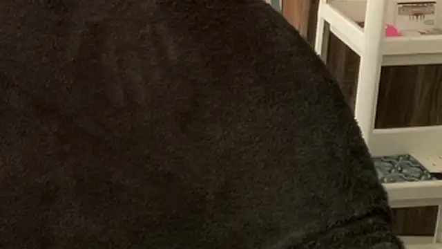 MakeMeAwareAah online show from October 2025 03:40:01 AM