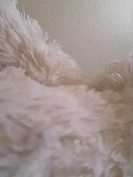 Bruninhadeusa online show from December 2025 10:33:01 AM