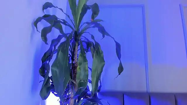 andreanix online show from May 2026 06:24:01 PM