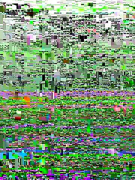 Snapshot of perfectguy4u chatting on October 2025 08:55:02 PM perfectguy4u online show from October 2025 08:55:02 PM