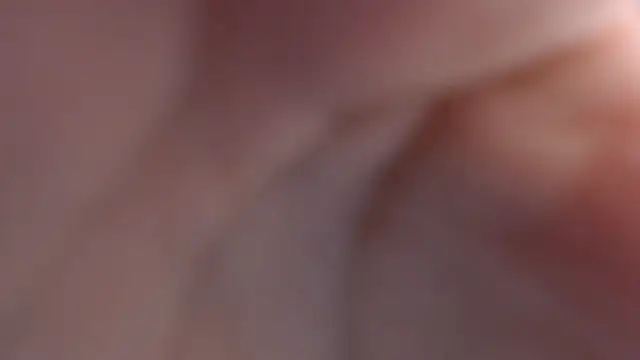 velvetvixen t online show from January 2026 01:04:01 PM