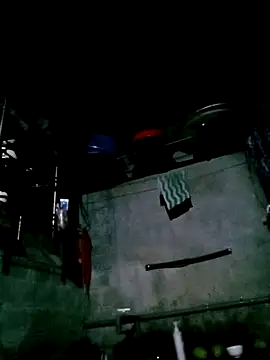 Noelle-e online show from February 2026 11:38:02 AM