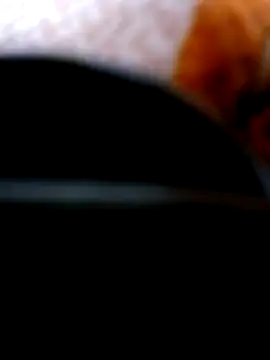 Snapshot of Pinos8700 chatting on November 2025 03:58:02 PM Pinos8700 online show from November 2025 03:58:02 PM