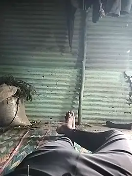 WettedGlimpse online show from December 2025 10:31:01 AM