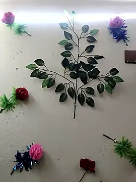 Indian-Glory online show from January 2026 08:47:01 PM