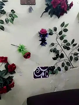 Indian-Glory online show from March 2026 03:40:01 PM