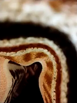 Snapshot of Nightrider1203 chatting on November 2025 05:12:01 PM Nightrider1203 online show from November 2025 05:12:01 PM