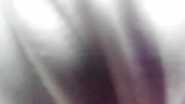 Snapshot of wild_best chatting on February 2026 03:19:02 PM wild best online show from February 2026 03:19:02 PM