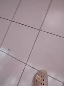 HomeyVending online show from November 2025 04:18:02 PM