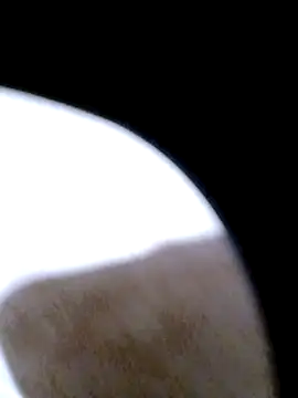 pino870 online show from February 2026 12:29:01 AM