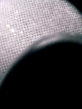 pino870 online show from March 2026 03:39:02 PM