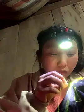 bi-bo123 online show from January 2026 02:33:02 PM