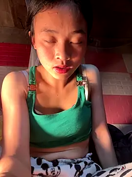 Li ve online show from December 2025 01:20:01 PM