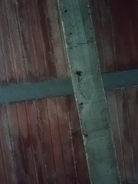 Megan2026 online show from February 2026 11:12:01 PM