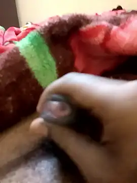 tamal2511 online show from January 2026 02:11:01 PM