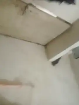 Jooli cuty online show from November 2025 01:01:01 PM