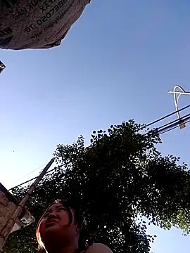 Bee-bgolden online show from November 2025 07:31:02 AM