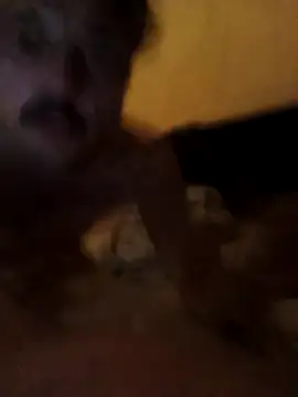 Snapshot of putosemlimiti chatting on November 2025 11:58:02 PM putosemlimiti online show from November 2025 11:58:02 PM