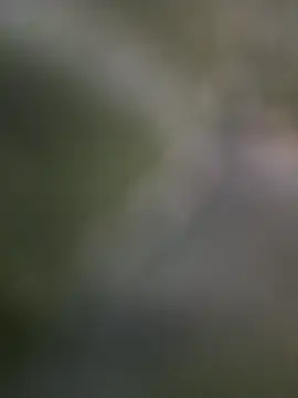 LynkLyy2k online show from November 2025 01:08:02 AM