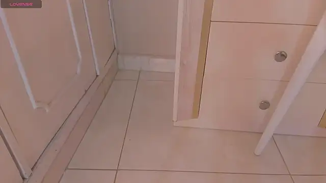 electra a online show from December 2025 11:39:02 AM