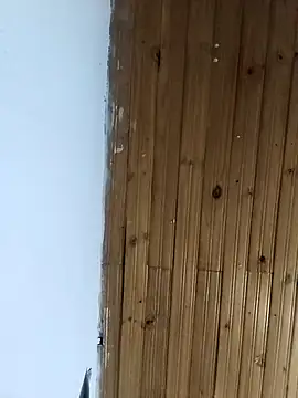 la beba20 online show from January 2026 03:55:01 AM