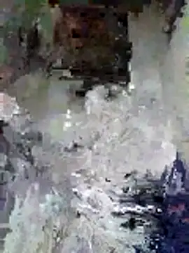 Junior 47 online show from November 2025 08:31:01 AM