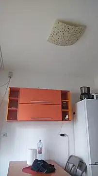 Snapshot of Dale_E chatting on January 2025 08:36:01 AM Dale E online show from January 2025 08:36:01 AM