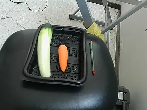 ivana latina online show from December 2025 07:10:01 PM