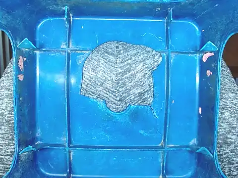 FANTASYBOYS11 online show from January 2026 10:03:01 PM