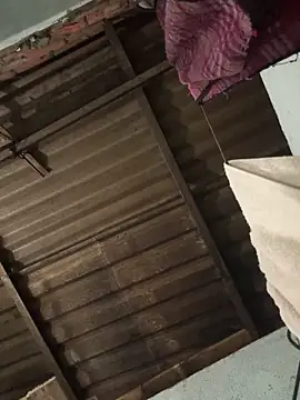 MEFUN- online show from December 2025 12:00:01 PM