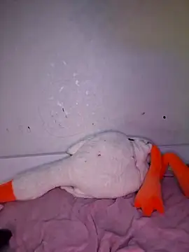 carolinakis  online show from February 2026 07:36:02 PM