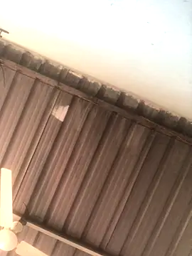 sexguruxxx online show from November 2025 06:13:01 AM