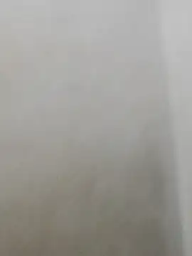 fpic online show from February 2026 01:48:01 AM