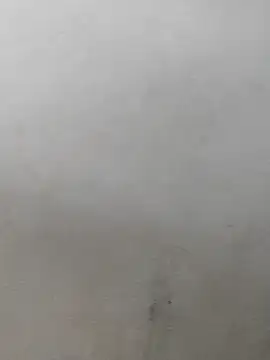 fpic online show from February 2026 04:22:02 PM