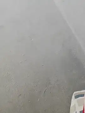 fpic online show from February 2026 04:44:02 PM