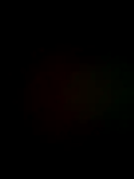 exxotisch online show from November 2025 11:10:01 PM