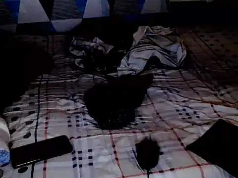 Snapshot of Savannah_Cock chatting on February 2026 02:08:02 AM Savannah Cock online show from February 2026 02:08:02 AM