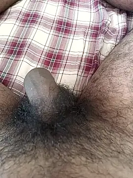 tamilbbc1 online show from November 2025 05:52:01 AM