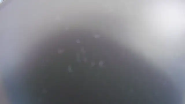 Noah Greenhart online show from January 2026 07:39:02 PM