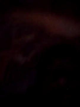 Snapshot of Roy___121 chatting on November 2025 09:03:02 PM Roy 121 online show from November 2025 09:03:02 PM