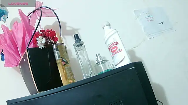 ashleey palmer online show from June 2026 12:51:02 PM