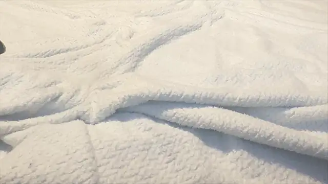 famous1tad online show from December 2025 07:38:02 AM