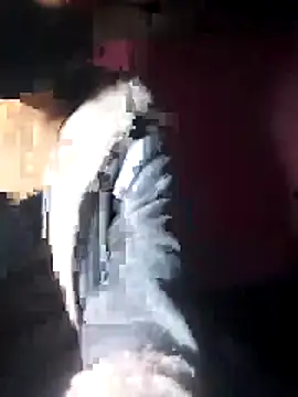 Snapshot of beba1100 chatting on November 2025 04:11:02 PM beba1100 online show from November 2025 04:11:02 PM