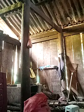 Snapshot of Lily-ross22 chatting on November 2025 05:07:02 AM Lily-ross22 online show from November 2025 05:07:02 AM